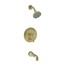 Uncoated Polished Brass - Living